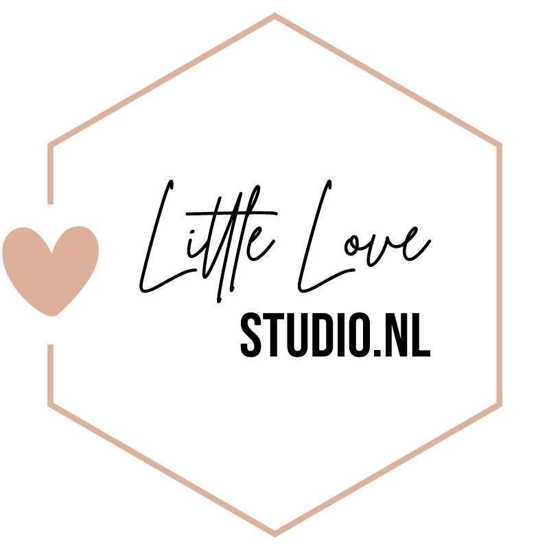 Little Love Studio